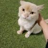 rana_arafa24