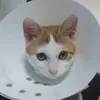 userag5zqdu8mt