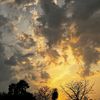hamna_770