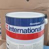 internationapint