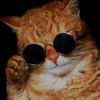 _1ali_boss_1