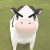 motminhuongsting