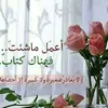 tayf042