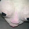 chimkinfoot