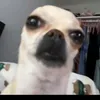 ._.sirtan