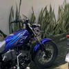 rxking_stecu
