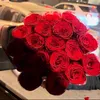 myasma.queen