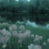 ________melaaa_______