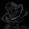 ricky_satria0704