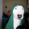 hudsonhornied
