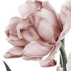tulipflowess