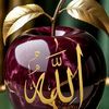 ahmed.salam732