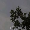 samadabbasi046