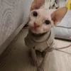 ebobo_6778