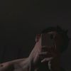 avraam_23