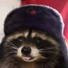 thattrashpanda4223