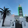 malika.snhj212