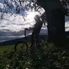 mike_tsiro
