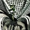 ameenkanan343