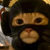 this_aint_chris_