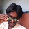 zin_lin27