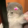 hnggng98