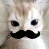 user121405103103
