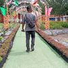 fahlin_kalua