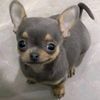 que_____0