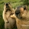 userkuzm80beb9