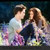 ariel_isblack