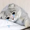 embemeoo_7