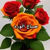 useromxsl73eic