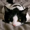 user9ndmgjrvth