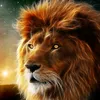 aslan_12987