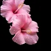 mlina09x