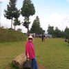 ardiyah66