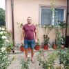 alincarstea862