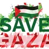 zineyasnour