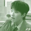 feat.dino__