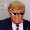 tbsviralmedia