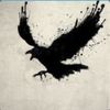 corvus000