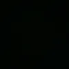 camilla_rizz.o