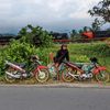 mohamadsafik11