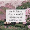 shayo20241