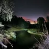 _night_50