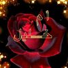 www.om.cahallile