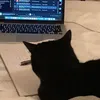 thgiyb