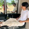 wuttichai.buttana