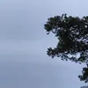 1wett_